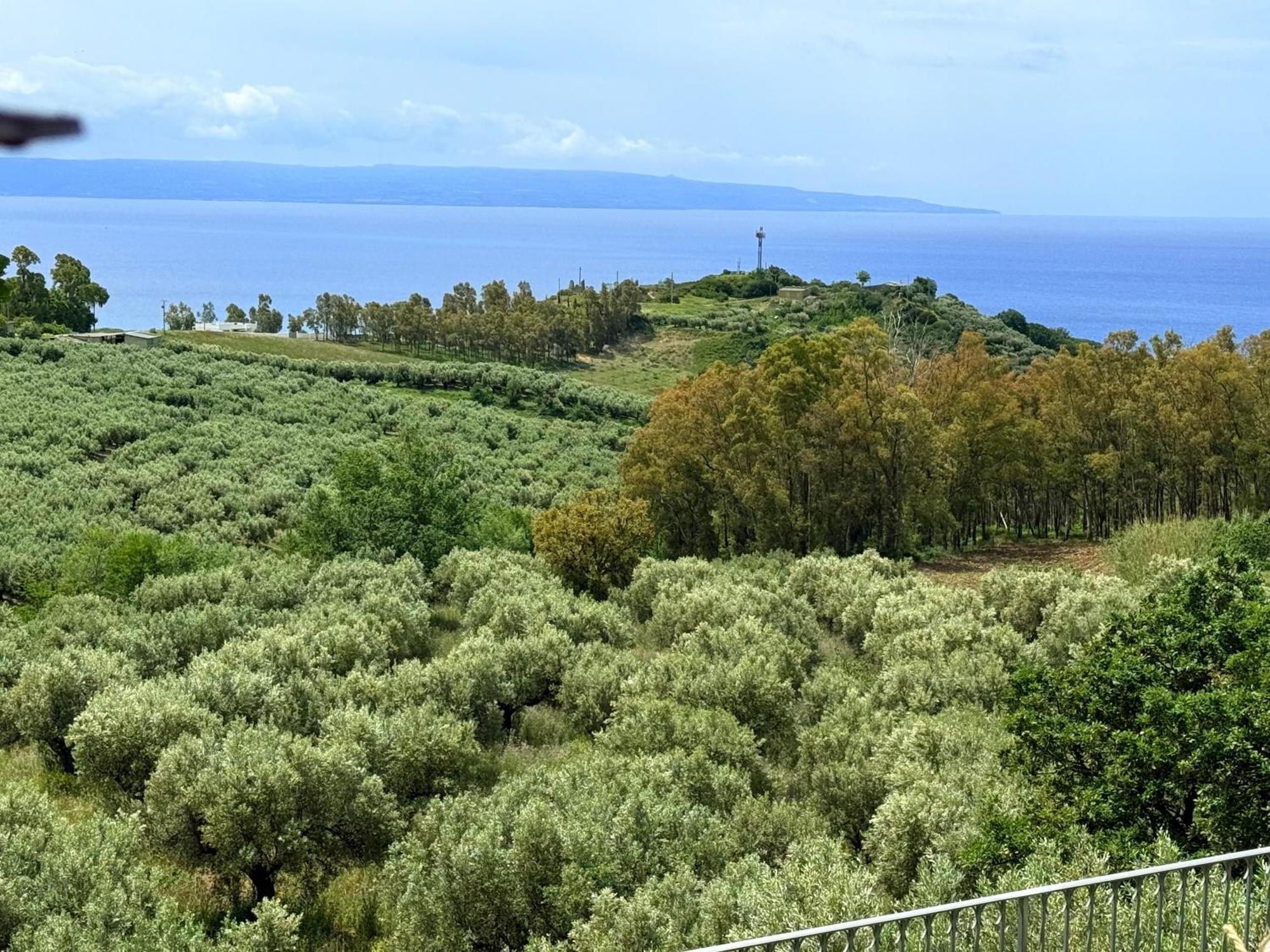 Casale Calabria Bed & Breakfast Gizzeria Bagian luar foto